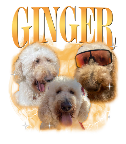 GINGER.png