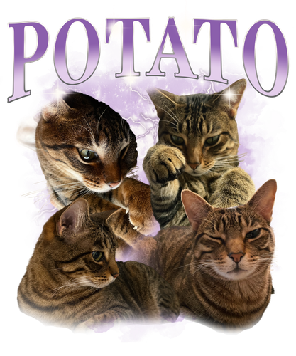 POTATO 3111735919.png