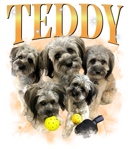 3125219018 Teddy mau 3.png