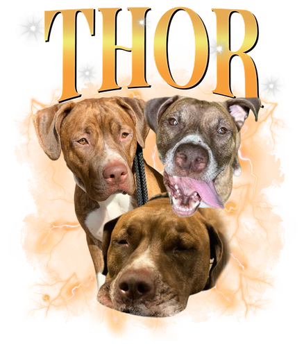 3110402519 Thor.png