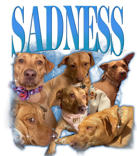 SADNESS.png