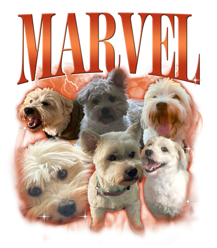 Marvel.png