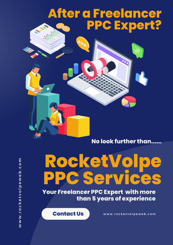 freelance ppc expert delhi.png