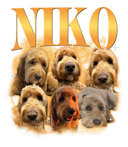 Niko.png