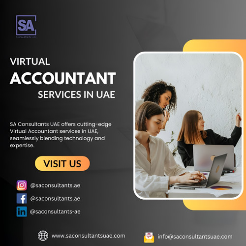 Virtual Accountant Services in UAE.jpg