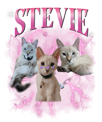 Stevie 3118708000.png