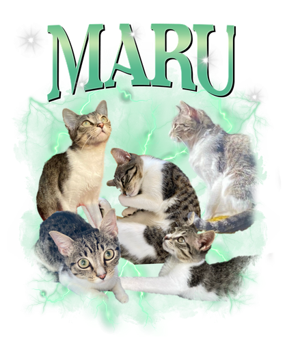 MARU 3118126308.png