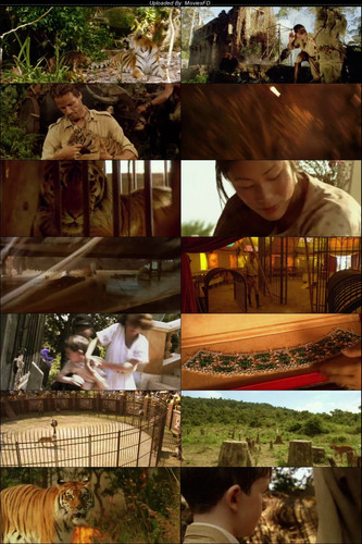 Two.Brothers.2004.BluRay.480p.[Hindi.English].ESub.jpg