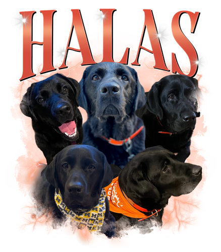 3125755186 Halas 5.png