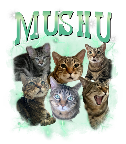 mushu.png