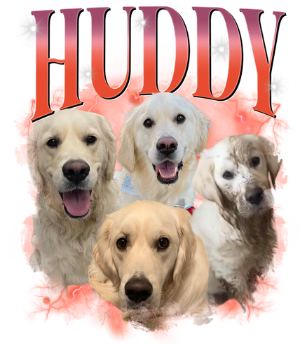 3123793542 Huddy 12.png