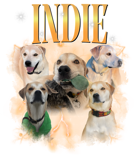 indie.png