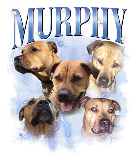Murphy.png