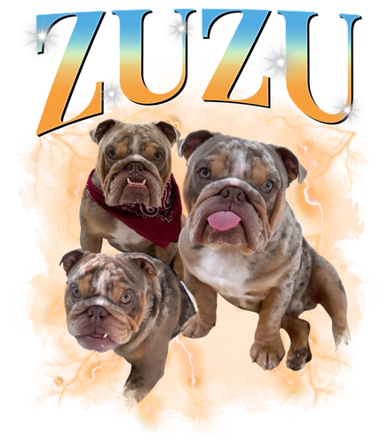 Zuzu.png
