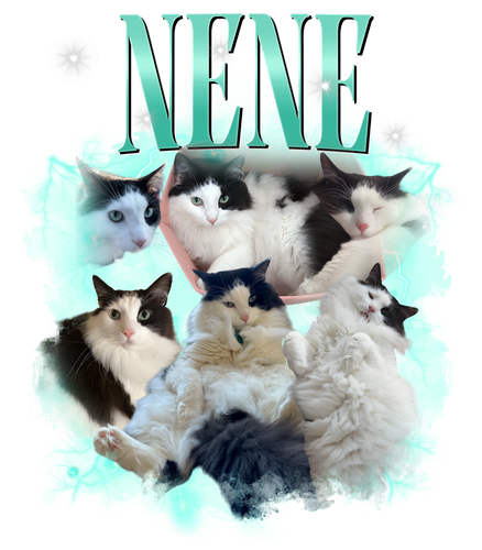 nên.png