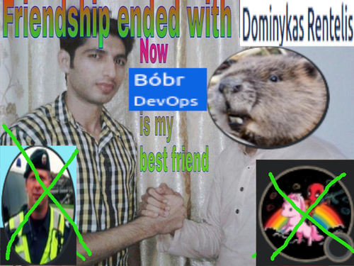 bobr best friend.png
