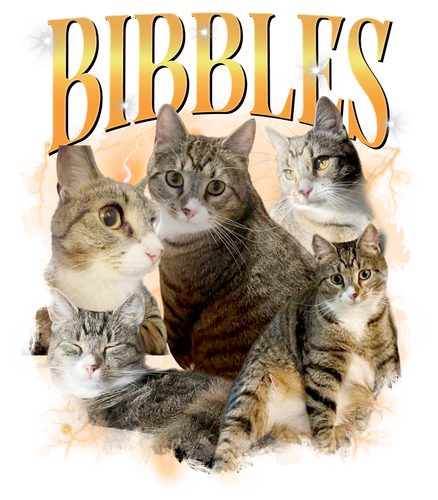3128408386.png