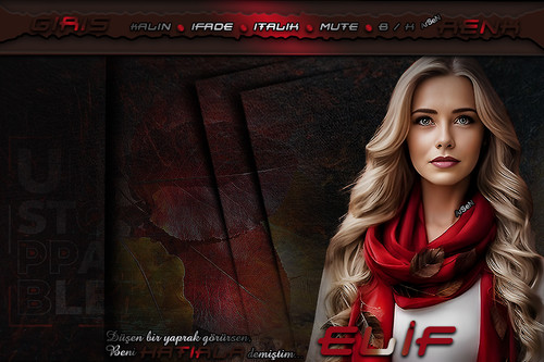ArSeN BENİ HATIRLA BAYAN TEMA ELİF.jpg