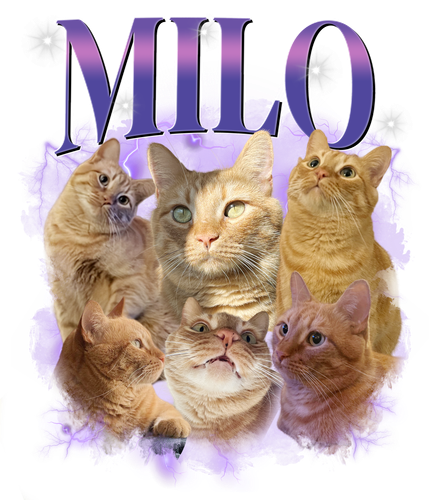 3119990491.png