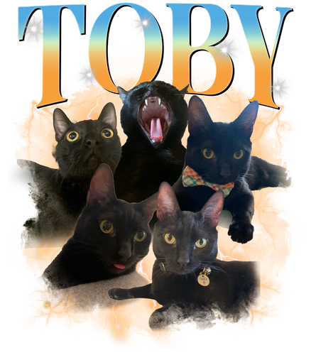 TOBY.png