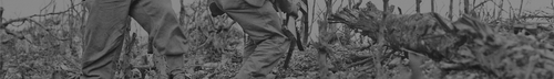 Footer img.png