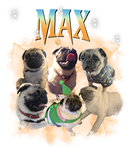 max 11.png