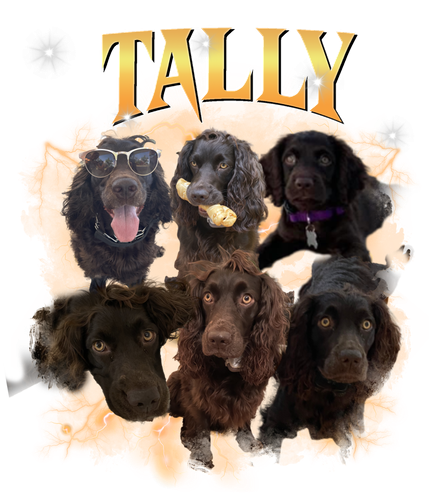 tally.png