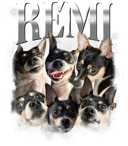 3126213287 Remi 8 ship nhanh.png