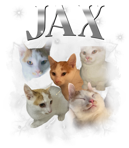 jax.png