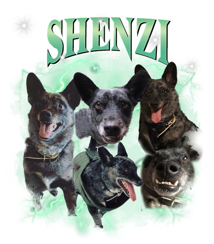 shenzi.png