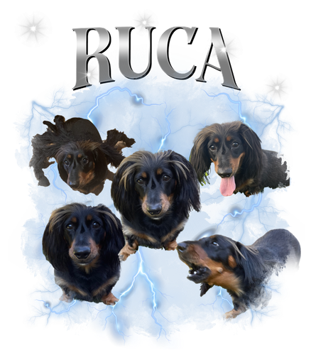 ruca.png