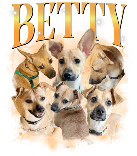 3127098845 ship nhanh.png