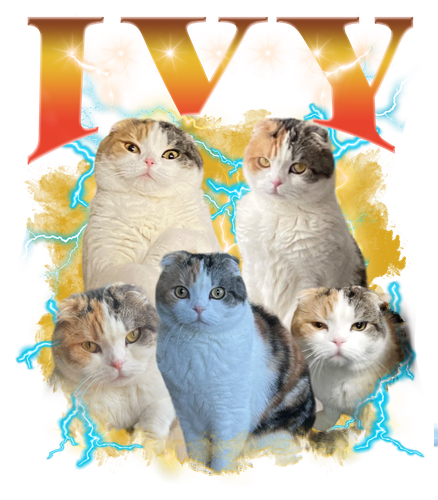 3121442291.png