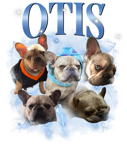 Otis.png