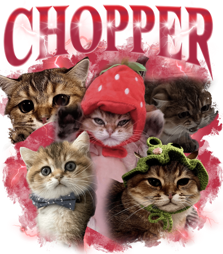 chopp.png