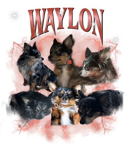 waylon.png