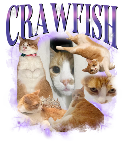 3114599373.png