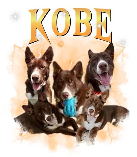 kobe sửa.png
