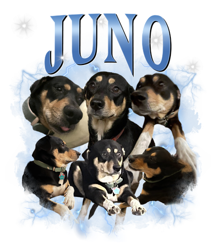 juno.png