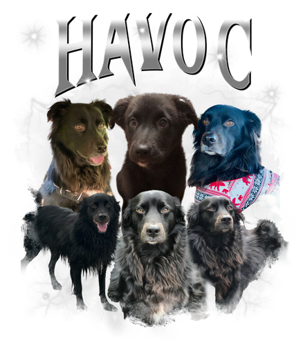 havoc.png