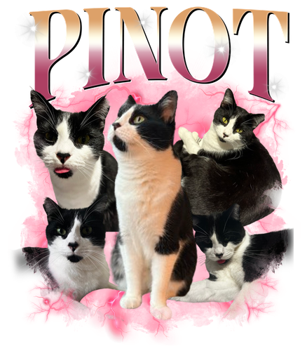 Pinot.png