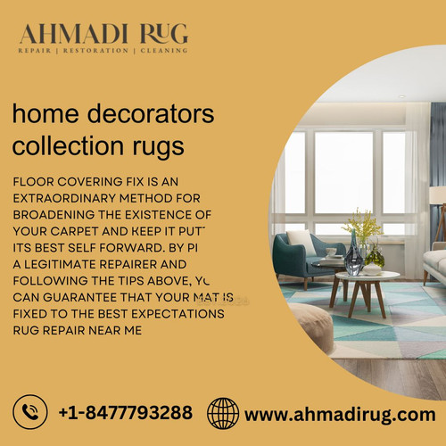 home decorators collection rugs