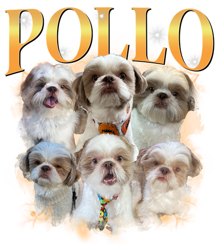 POLLO.png