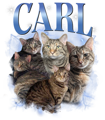 3125219018 Carl.png