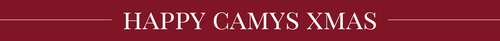 e mail mkt barra top bar animada desk (500 × 60 px) (1118 x 91 px).png