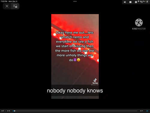 IMG 0567.png