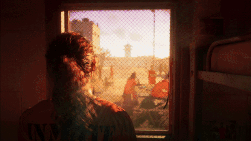 1000057731.gif