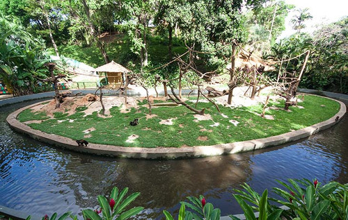 zoo7.jpg