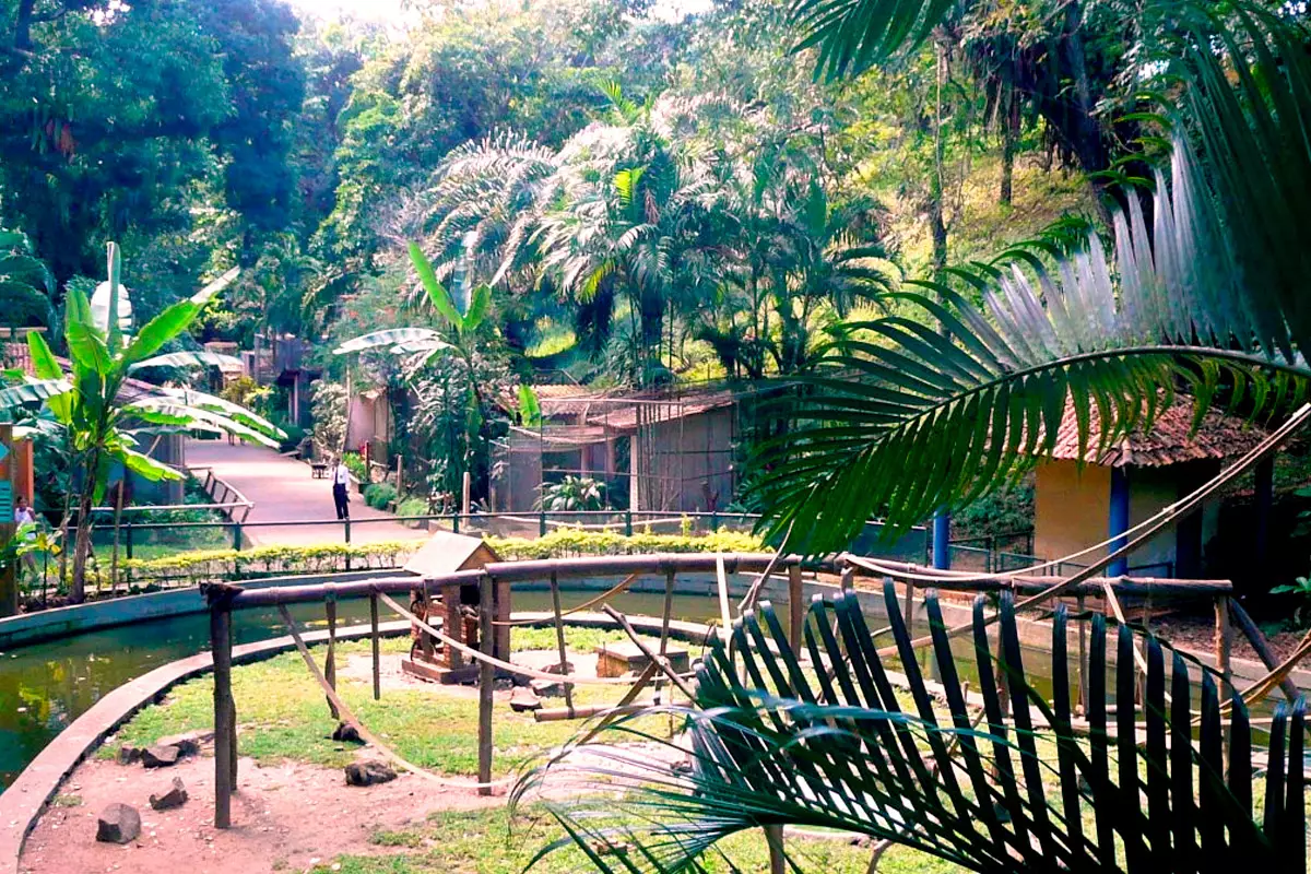 zoologico de salvador