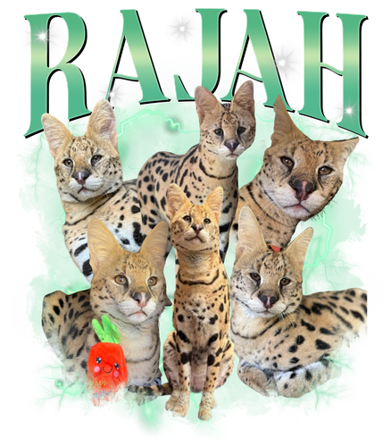 Rajah.png
